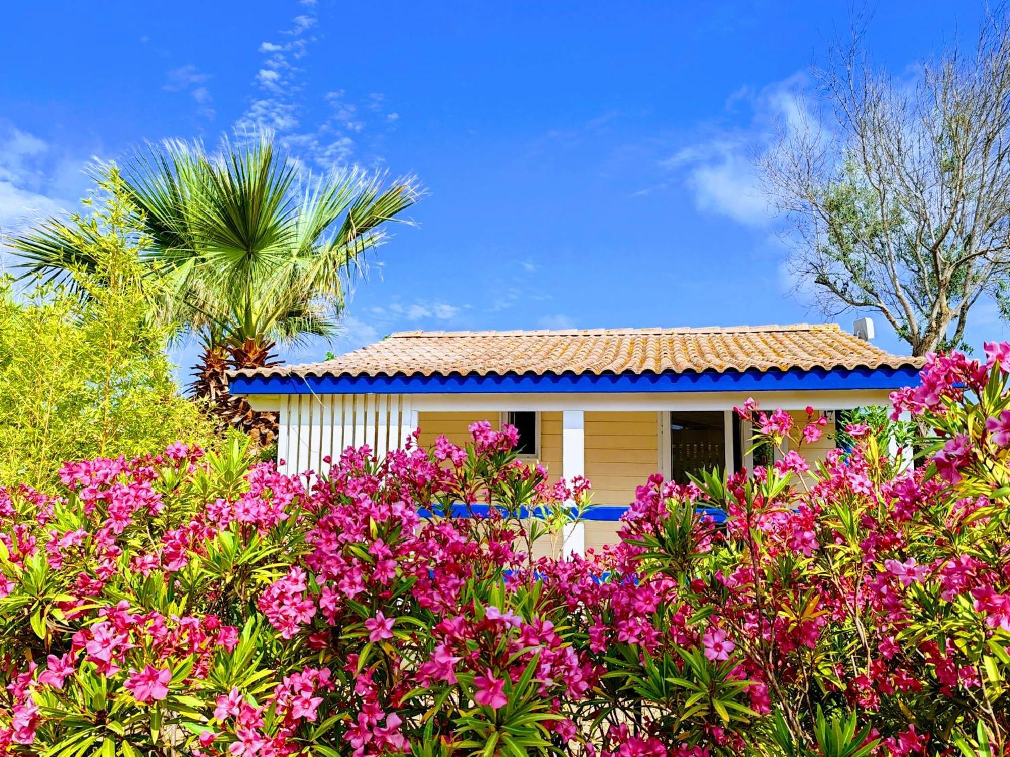 Camping Hameau Des Cannisses Gruissan Bagian luar foto